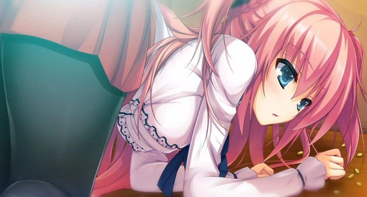 【PC/2D/GAL/汉化】回忆录 Re：Collect（Reminiscence Re：Collect）精翻汉化版【2.5G】