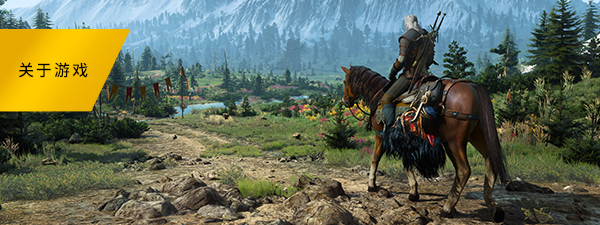 巫师3:狂猎-次世代完全版/The Witcher 3: Wild Hunt(v4.04)