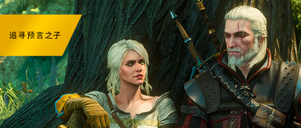 巫师3:狂猎-次世代完全版/The Witcher 3: Wild Hunt(v4.04)
