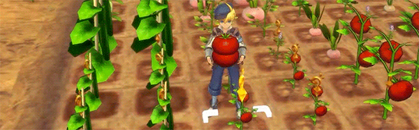 符文工厂5/Rune Factory 5