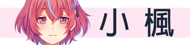 ~府城少女~ 以妳為名的府城情書