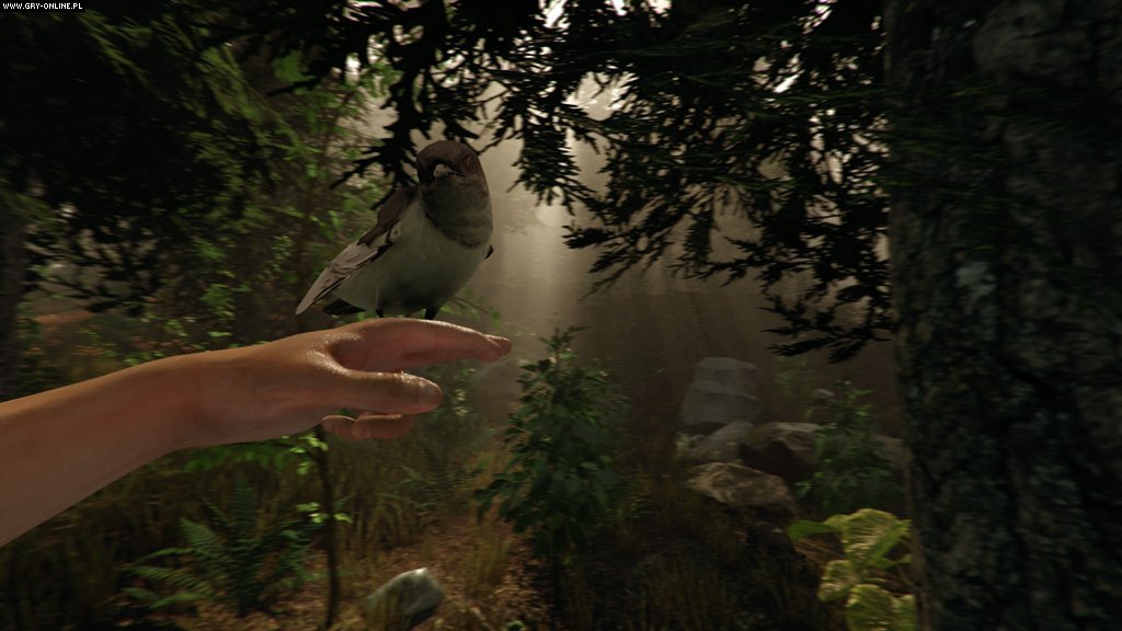 迷失森林/The Forest(v1.12正式版)