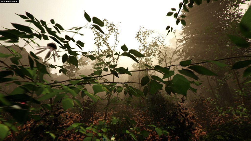 迷失森林/The Forest(v1.12正式版)