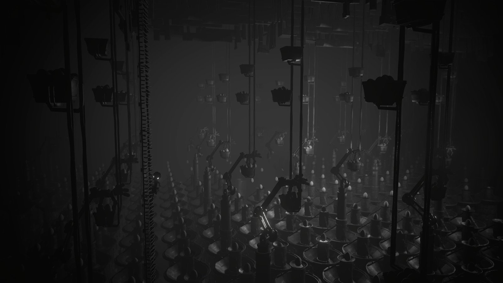 白色阴影/White Shadows