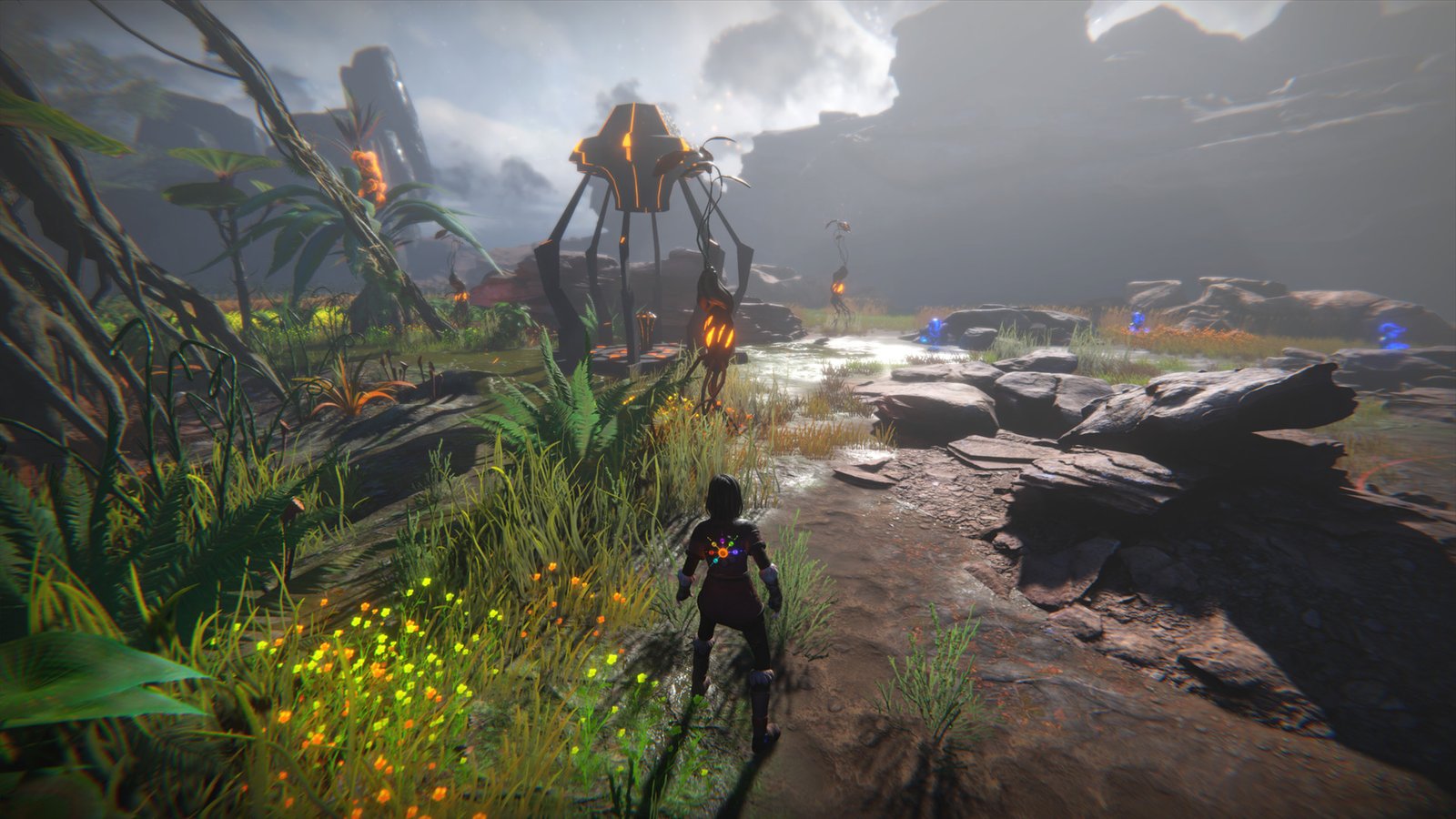 生命之种/Seed of Life