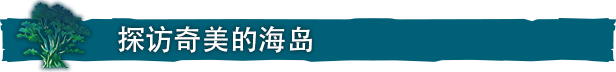 海之呼唤/Call of the Sea(v1.2.513.0)
