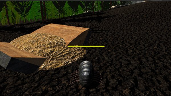 昆虫生活模拟器/Insect Simulator