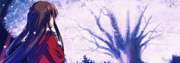 白色相簿:编缀的冬日回忆/WHITE ALBUM Memories like Falling Snow