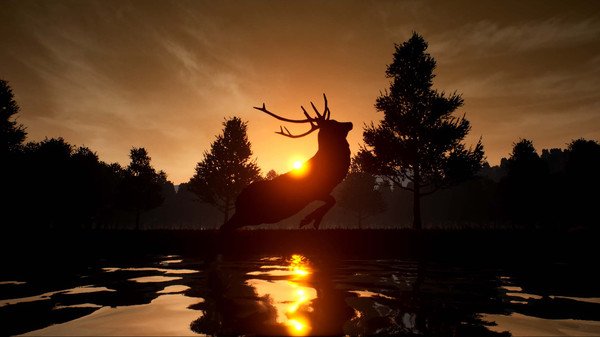 小鹿旅程/Deer Journey