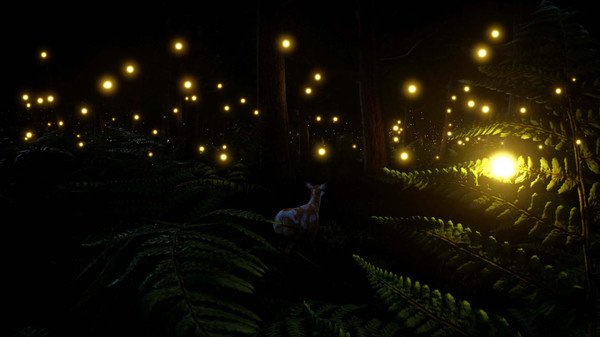 小鹿旅程/Deer Journey