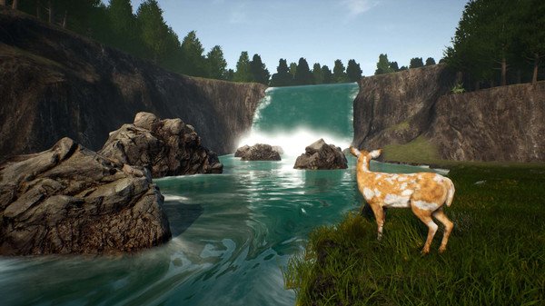 小鹿旅程/Deer Journey