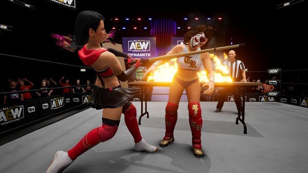 AEW战斗永远/AEW: Fight Forever