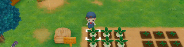 牧场物语：重聚矿石镇