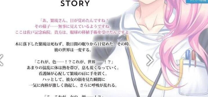 【PC/SLG+ADV/动态/日文】强推!桃源乡GO!豪华+限定DL版+存档【4.2G】