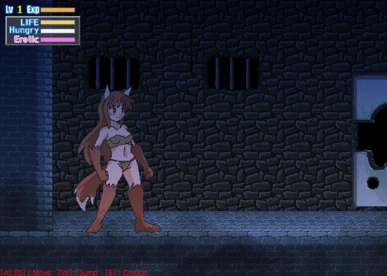 【PC/经典ACT/全动态/像素】Wolf’s Dungeon 狼娘的地牢 Ver200712 完整版【150M】