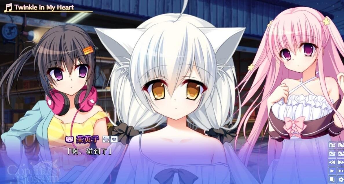 【SVIP/PC/2D/GAL/中文】日冕花开 Vol.1-3 双端官方中文版+R18补丁【18G】