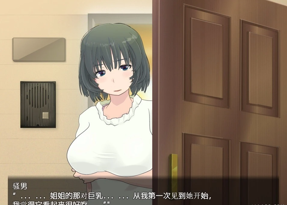 【PC/RPG/汉化/动态】寝取小镇的超H传阅板！开门即H！汉化双端作弊【920M】