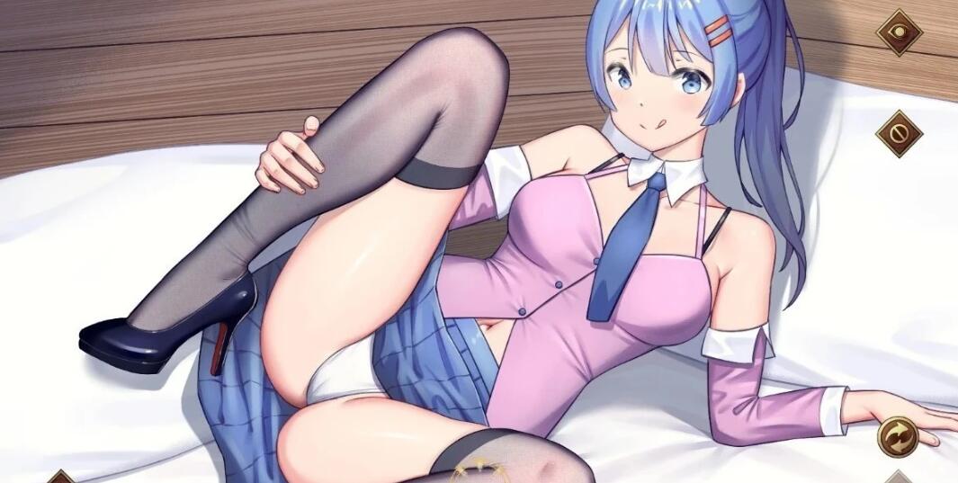 【SVIP/PC/2D/SLG/中文】Seek Girl I-IX 系列1-9部全 官方中文步兵版 大合集【13G】
