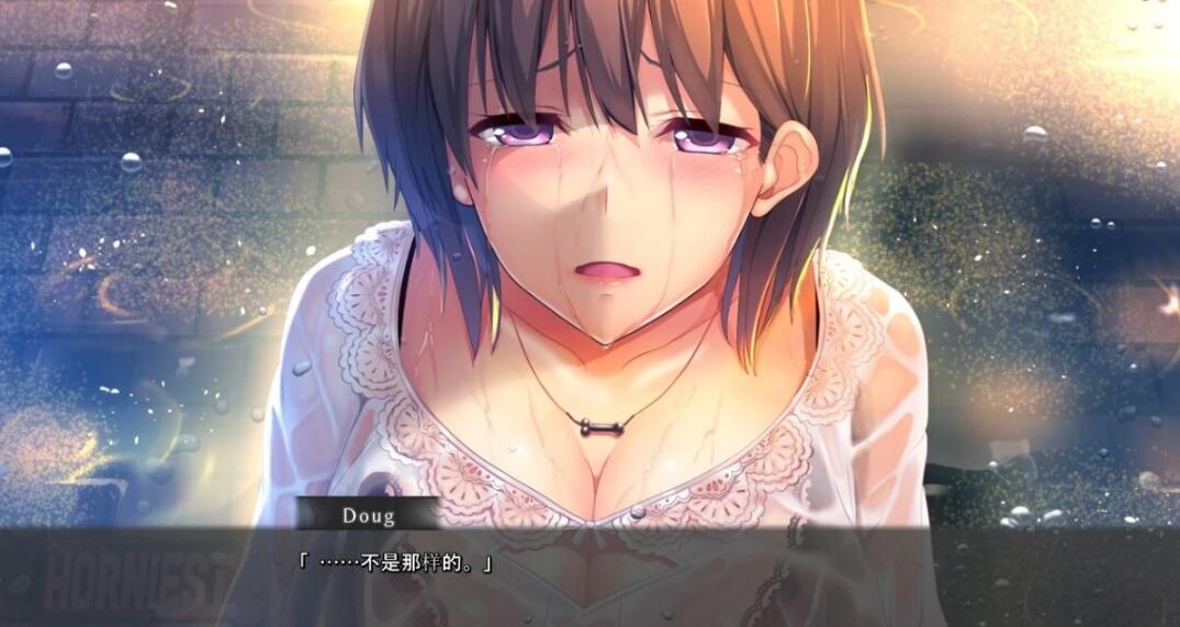 【PC/2D/ADV/汉化】人类最强星屿嫁 VOL1+2+3 精翻汉化版+全CG存档【4.5G】