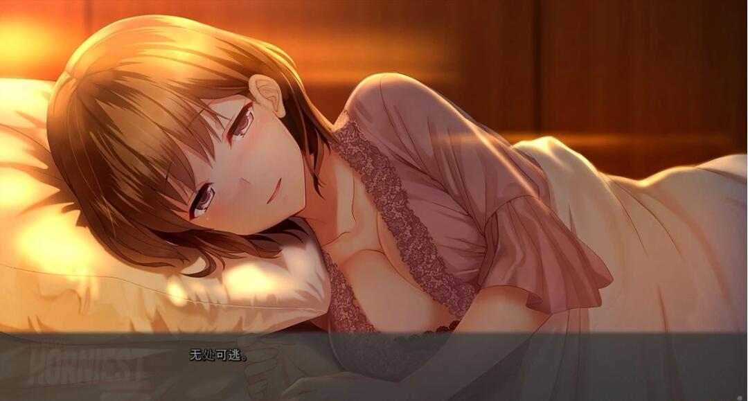 【PC/2D/ADV/汉化】人类最强星屿嫁 VOL1+2+3 精翻汉化版+全CG存档【4.5G】