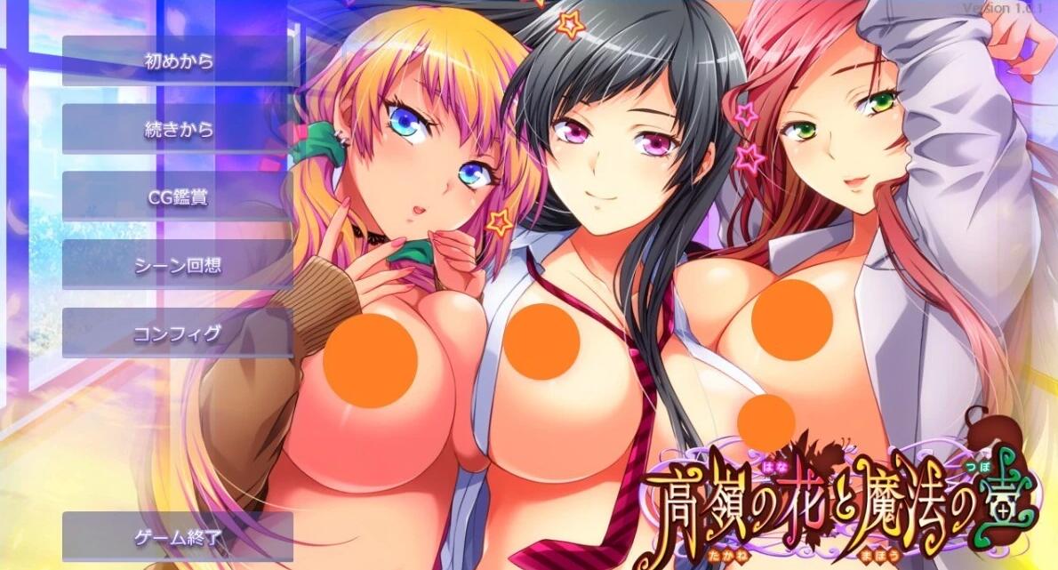 【PC/2D/ADV/汉化】高岭之花和魔法之壶 V1.0 双端AI汉化版【2G】