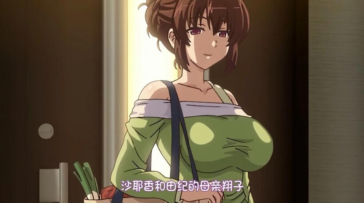 【PC/2D/ADV/汉化】自宅警备员2 血業版 双端AI润色汉化版【2.3G】