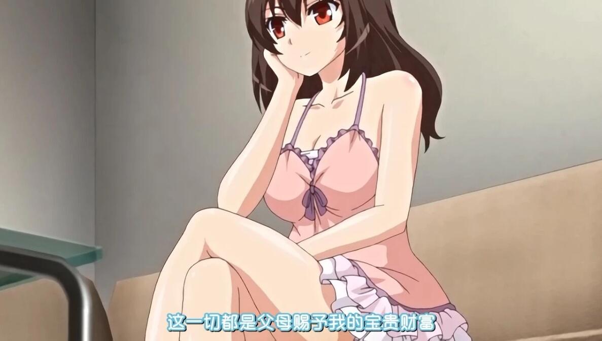 【PC/2D/ADV/汉化】自宅警备员2 血業版 双端AI润色汉化版【2.3G】