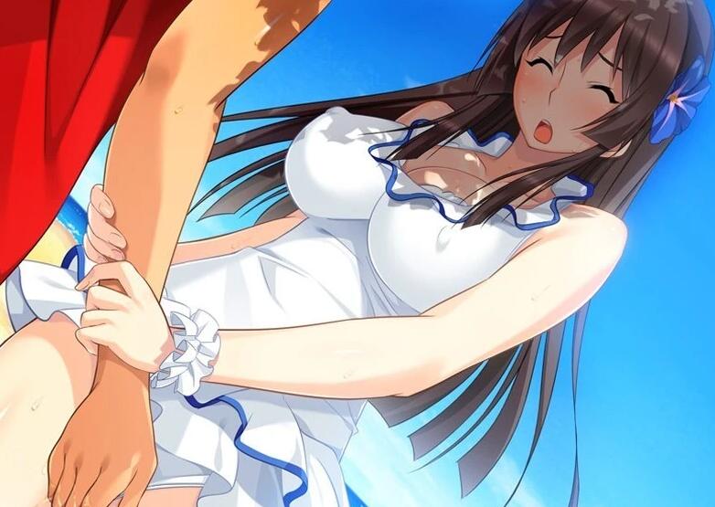 【PC/2D/ADV/汉化】姐姐,今年夏天 姉にこの夏 V1.0 AI汉化版+全CG存档【1.6G】