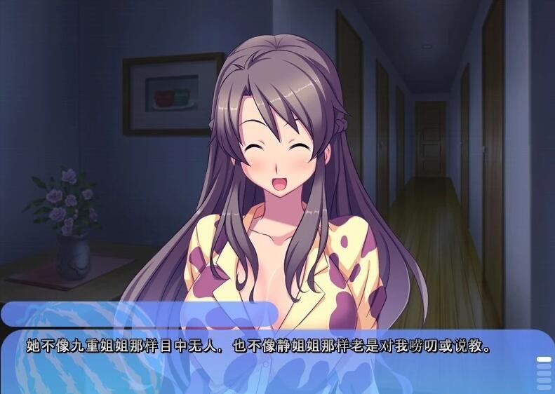 【PC/2D/ADV/汉化】姐姐,今年夏天 姉にこの夏 V1.0 AI汉化版+全CG存档【1.6G】