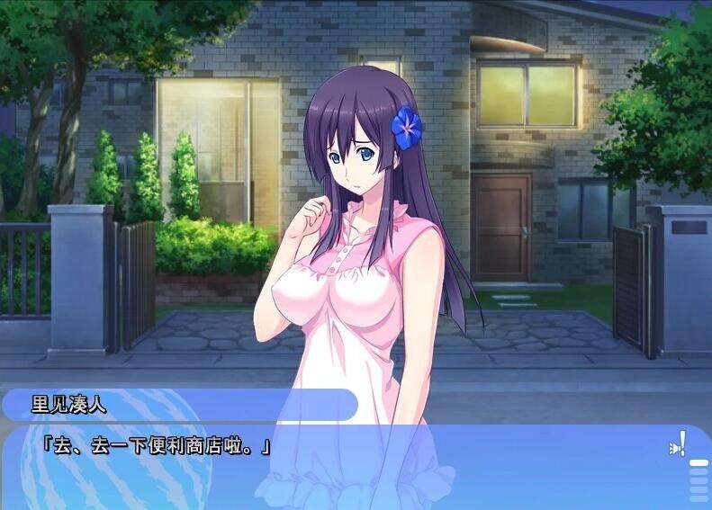 【PC/2D/ADV/汉化】姐姐,今年夏天 姉にこの夏 V1.0 AI汉化版+全CG存档【1.6G】