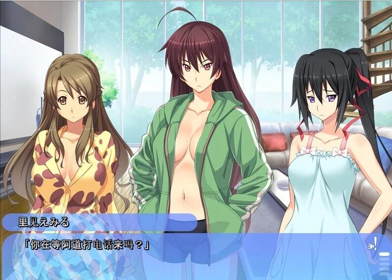 【PC/2D/ADV/汉化】姐姐,今年夏天 姉にこの夏 V1.0 AI汉化版+全CG存档【1.6G】