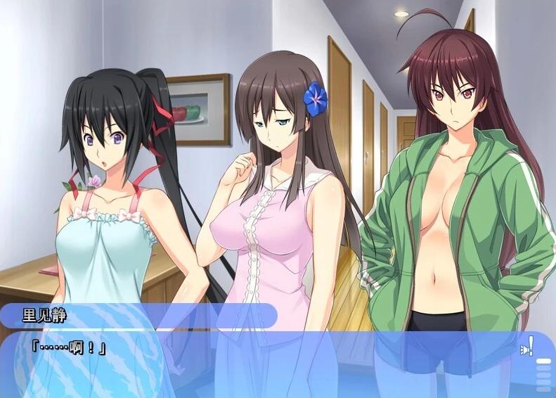 【PC/2D/ADV/汉化】姐姐,今年夏天 姉にこの夏 V1.0 AI汉化版+全CG存档【1.6G】