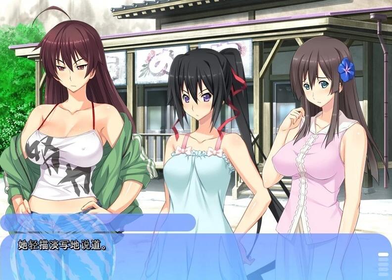 【PC/2D/ADV/汉化】姐姐,今年夏天 姉にこの夏 V1.0 AI汉化版+全CG存档【1.6G】