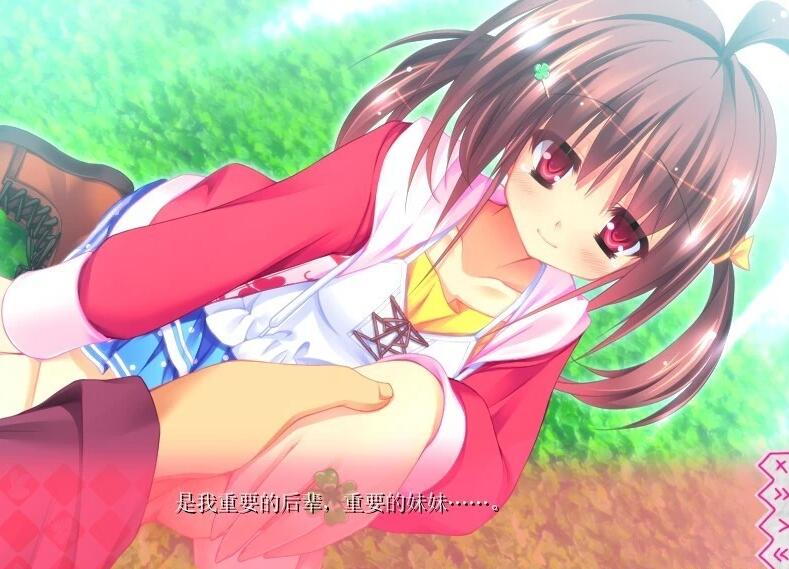 【PC/2D/GAL/汉化】第二回妹选拔总选举~我的后宫将要开始 精翻汉化版【1G】