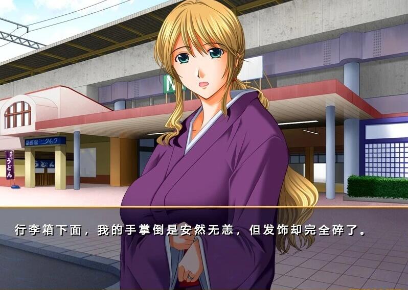 【PC/2D/ADV/汉化】仕舞妻~姉妹妻3~ AI汉化版【3G】需转区运行,不会搞勿下!
