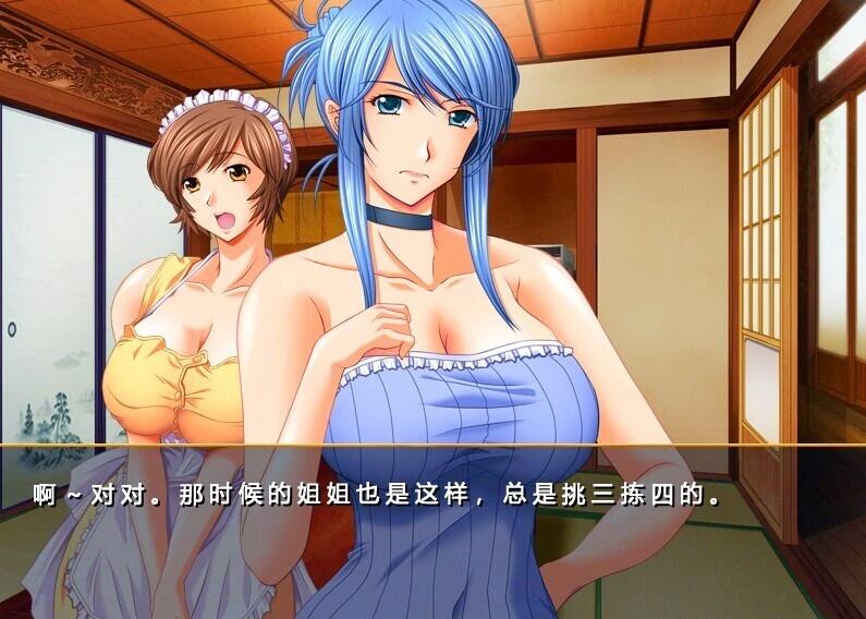 【PC/2D/ADV/汉化】仕舞妻~姉妹妻3~ AI汉化版【3G】需转区运行,不会搞勿下!