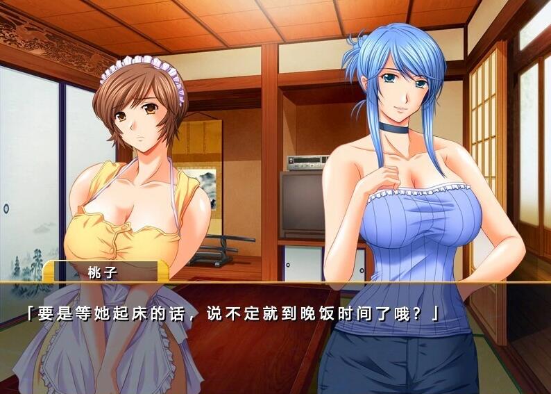 【PC/2D/ADV/汉化】仕舞妻~姉妹妻3~ AI汉化版【3G】需转区运行,不会搞勿下!