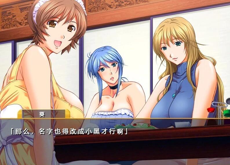 【PC/2D/ADV/汉化】仕舞妻~姉妹妻3~ AI汉化版【3G】需转区运行,不会搞勿下!